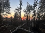 Waldbrand Elbsandsteingebirge